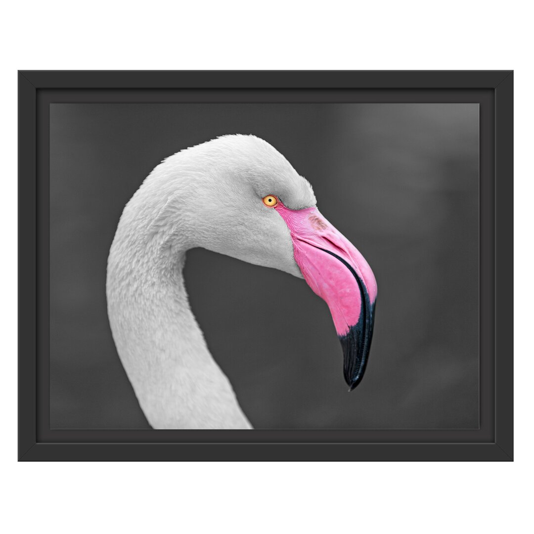 Gerahmtes Wandbild FlamingoSeitenprofil