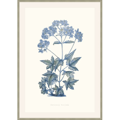 Bouquet Blue 6 Framed Print