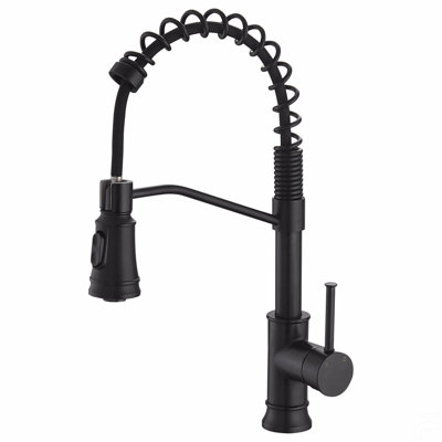 Robinet de cuisine avec douchette extractible et robinets d'évier de cuisine à poignée simple en acier inoxydable noir