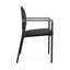 Chaise d'invité Chat Chat-98671302-98881773