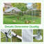 Derward 200 pieds carrés pour 8 poulets Derward