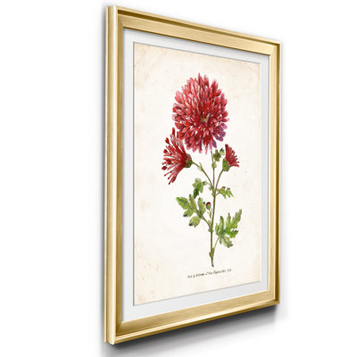 " Botanical III " Painting Print