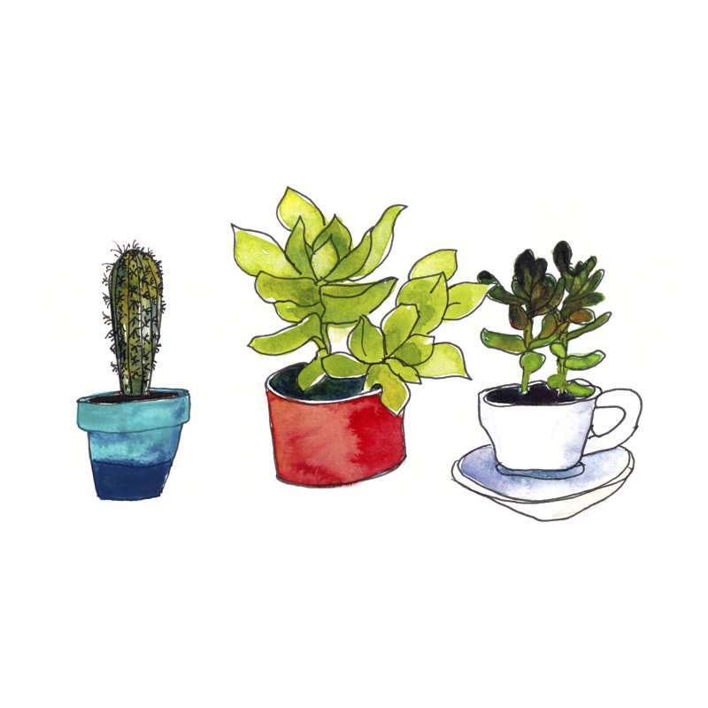 Vibing Succulents II by Paul McCreery - Painting Print, 81cm H x 122cm W, Wrapped Canvas