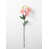 Rose / blanc est en rupture de stock