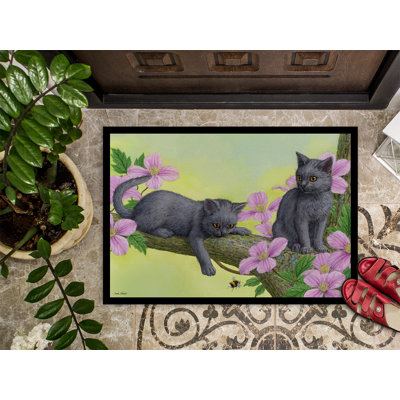 Non-Slip Outdoor Doormat
