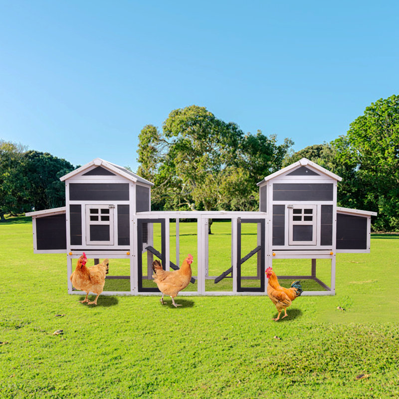 Durinda Chicken Coop, Gray/White