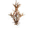 Antlers 8 - Light Chandelier