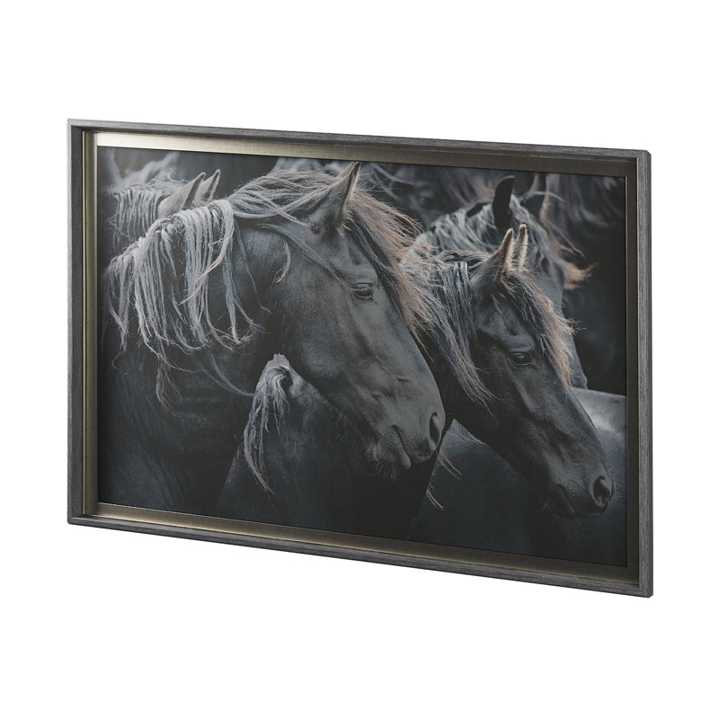 Majestic Admiration a Framed Art Print Matted under Glass