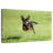 Brampt Sprinting Chihuahua-108736862