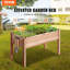Raised Garden Bed