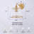 Modern Brushed Gold Wall Sconce