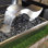 Fontaine en acier inoxydable avec éclairage Orca