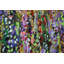 Spring Fields Painting by Sie Douglas-Fish
