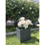 Pot à fleurs carré en ciment 12 po avec trous de drainage pour l'intérieur et l'extérieur-33045136-33045138