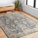 Sagefield Oriental Area Rug in Denim/Pebble