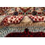 Aryana Wool Oriental Area Rug