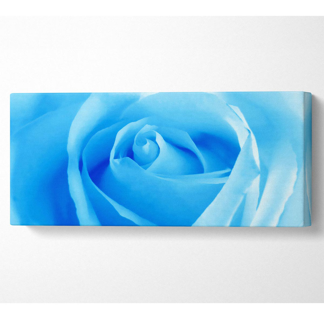 Baby Blue Rose Panoramaleinwand