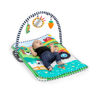 Busy Barnyard Grow With Me Activity Gym
