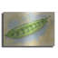 «Sugar Snap Peas» par Barbara Keith-246964403