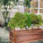 Wardlow Plant Stand
