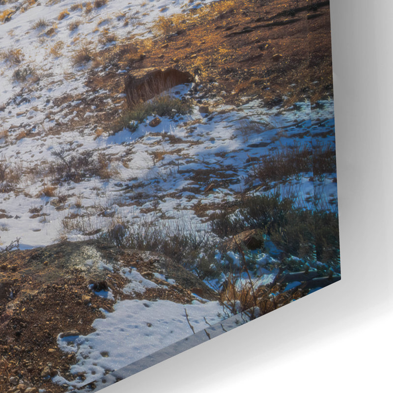 Art mural en verre Millwood Pines «Across The Valley» par Rick Berk, H 16 po x l 24 po x P 0,2 po