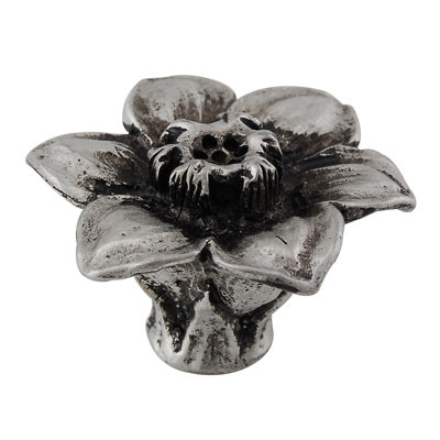 Carlotta Novelty Knob