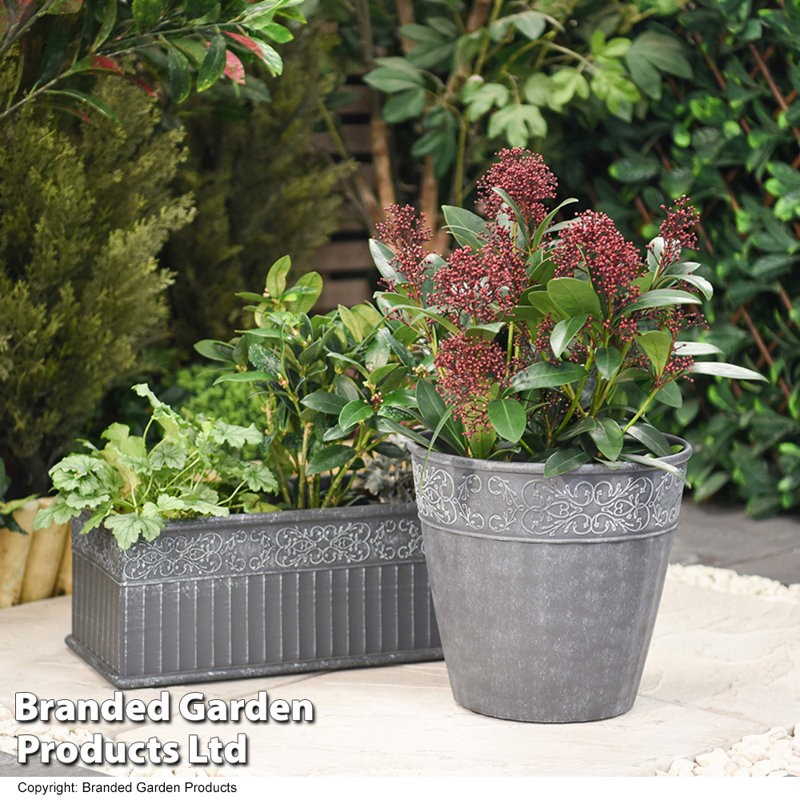 Parvathi Pot Planter