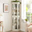 Vitrine de coin lumineuse - étagère en verre avec portes en verre trempé, tablettes réglables et ampoule à perles incluse - armoire de bar idéale pour la décoration intérieure - BLANC
