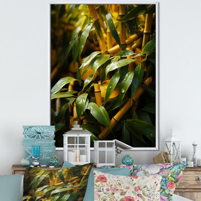 " Bamboo Sunset Photography IV "