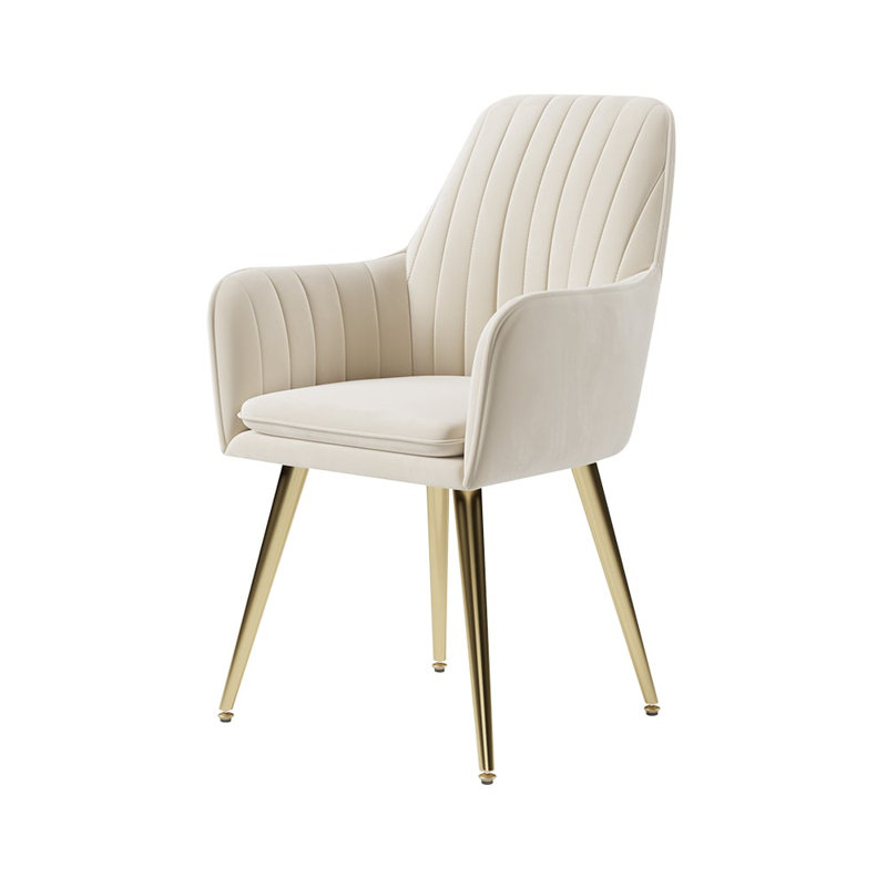 Dining Chairs Set of 2 Modern Beige Velvet Dining Chair with Cushioned