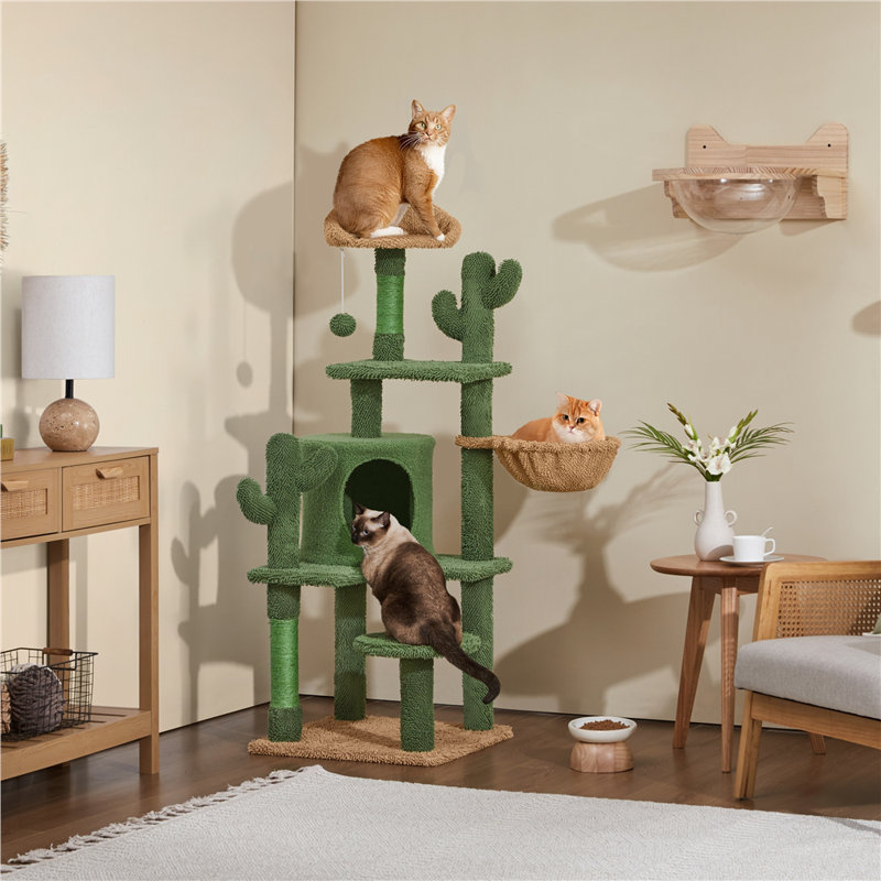 Burnley 53" H Cat Cactus Tree Condo