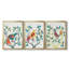 Toile encadrée de qualité supérieure Whitty Bird II - prête à être accrochée-69983137-69983138