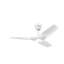 Haiku L Smart LED Downrod Ceiling Fan