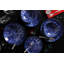 Honfleur Piece Porcelain China Dinnerware Set - Service for 6