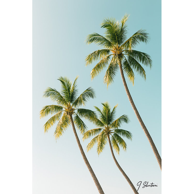 «Golden Hour Palms - Tropical Trio», art mural sur toile, H 48 po x l 32 po