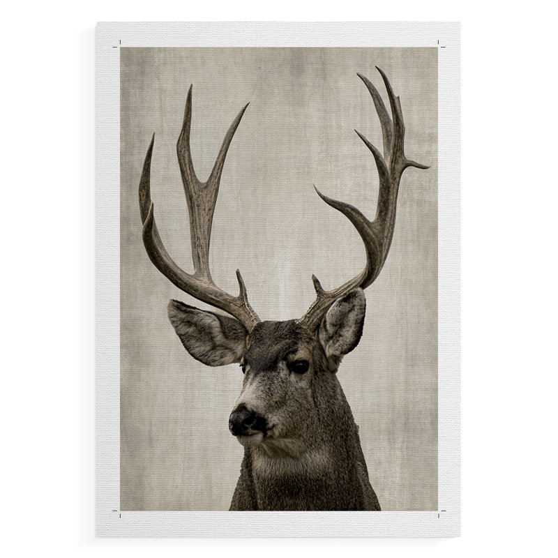 Colorado Buck - Impression sur toile seulement - NON-CADRE, H 60 po x l 40 po