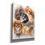 «Tibetan Spaniel 2» par Barbara Keith-366018262