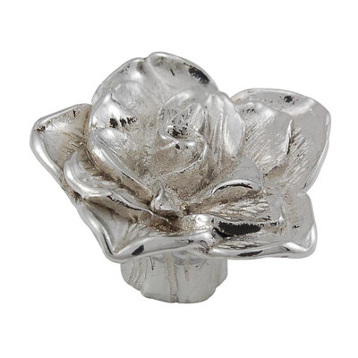 Carlotta Novelty Knob