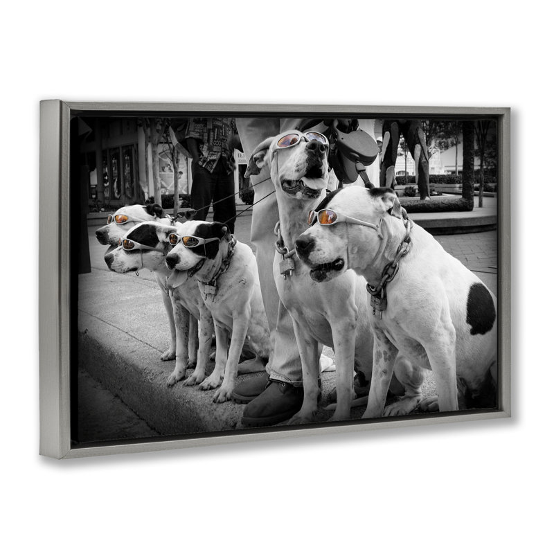Cadre flottant Afprès Stroll Pups, design par Scott Henderson, Cadre flottant gris lustré, H 17 po x l 25 po