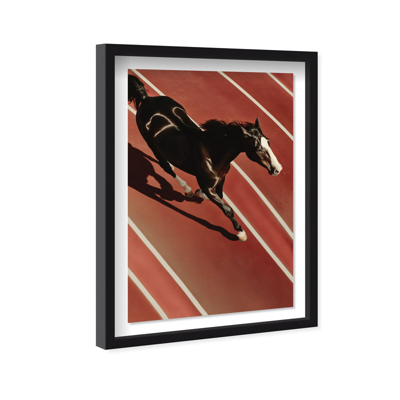 Velocity Vector Shadowbox Animals Print by Oliver Gal, Black Frame, 10 x 15, 17.5"H x 25.5"W, Black Shadowbox