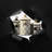 Sterling Check Canister-73049668