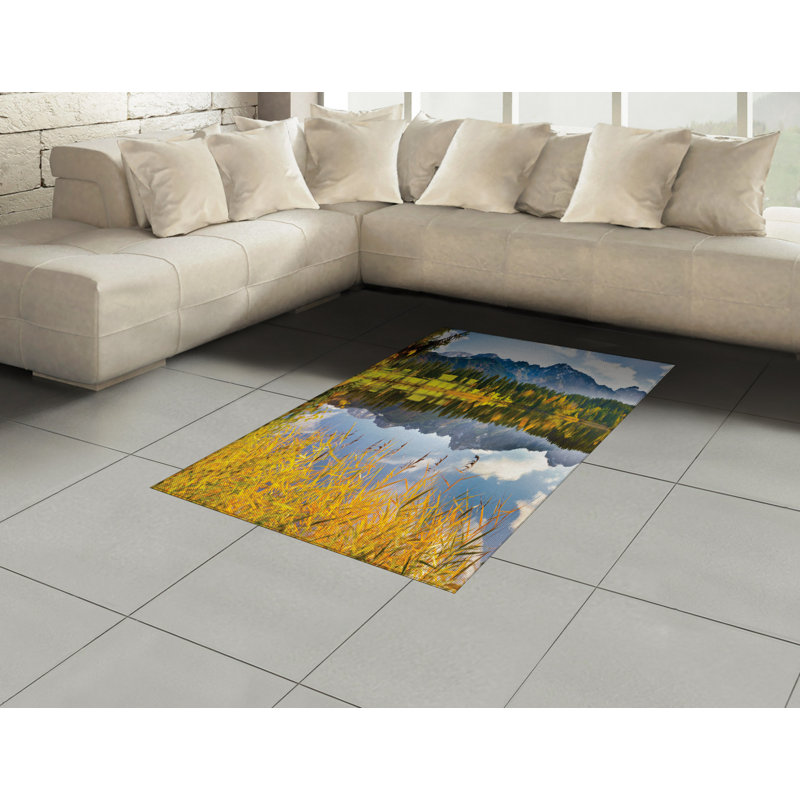 Nature High Density Long Fiber Poly Threads Decorative Area Rug Carpet, Rectangle 4' x 5'8"