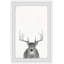 Grey Deer - Single Picture Frame Print-1175207234