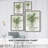 Delicate Greenery I Framed Print - Solid Wood 46945-711639632