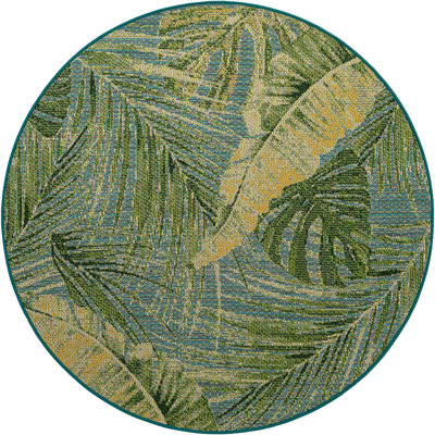 Baja Tokina Rug