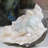 Anto Landscape & Nature Figurines & Sculptures