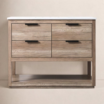 Felicity 42'' Single Bathroom Vanity