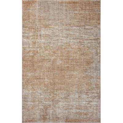Manoliu Spice / Silver Area Rug