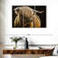 Brampt Highland Cow sur fond noir I-108034182