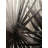 Grayscale Tropical Plants Print On Canvas